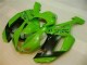 Best 2007-2008 Green Black Dunlop Kawasaki ZX6R Motorbike Fairing Kits Canada Best 2007-2008 Green Black Dunlop Kawasaki ZX6R Motorbike Fairing Kits Canada